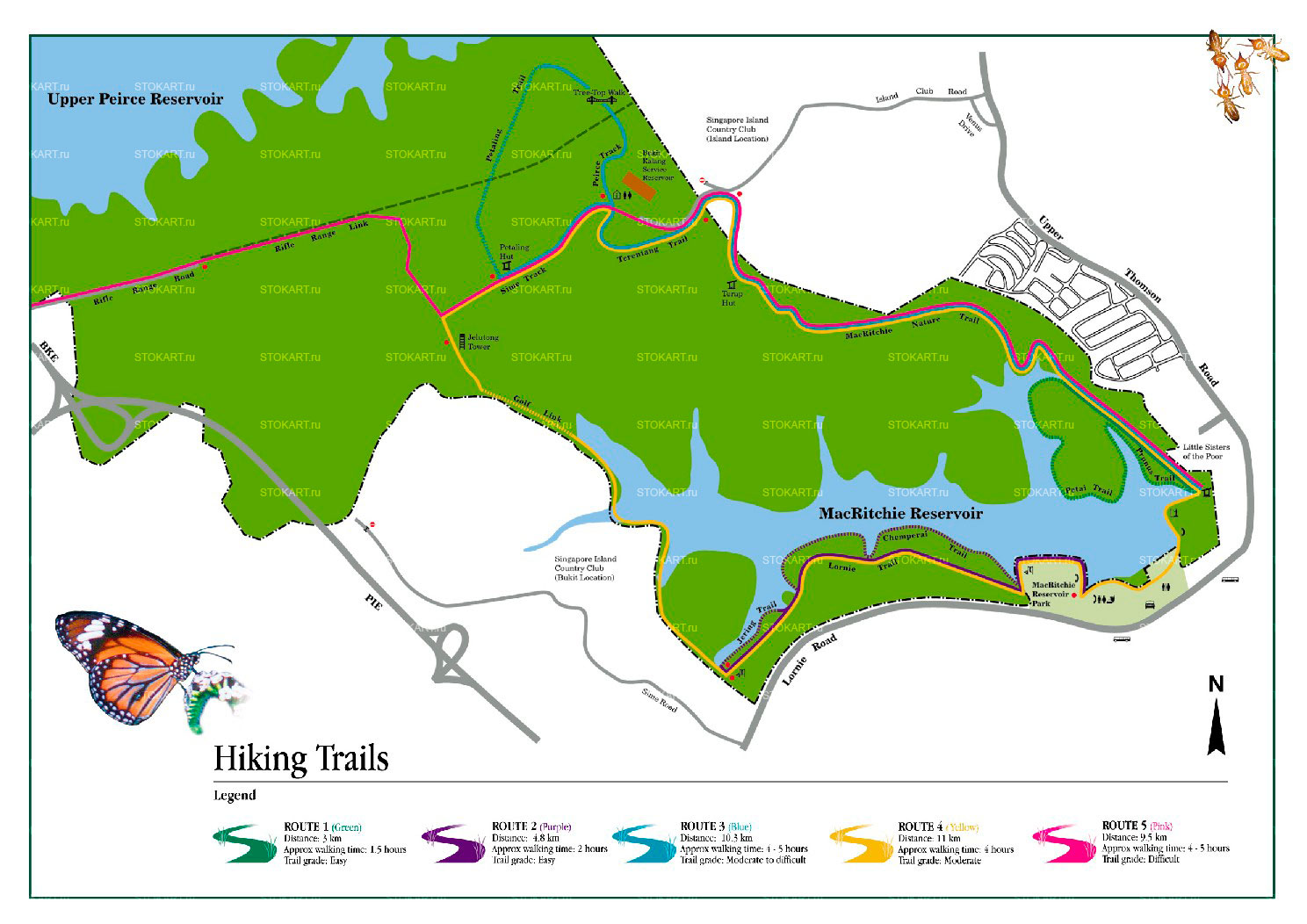 ����� ����������� Upper Peirce Reservoir